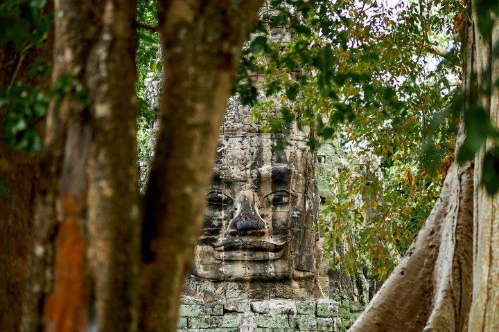 Angkor Wat and Angkor Thom Private Half Day Tour