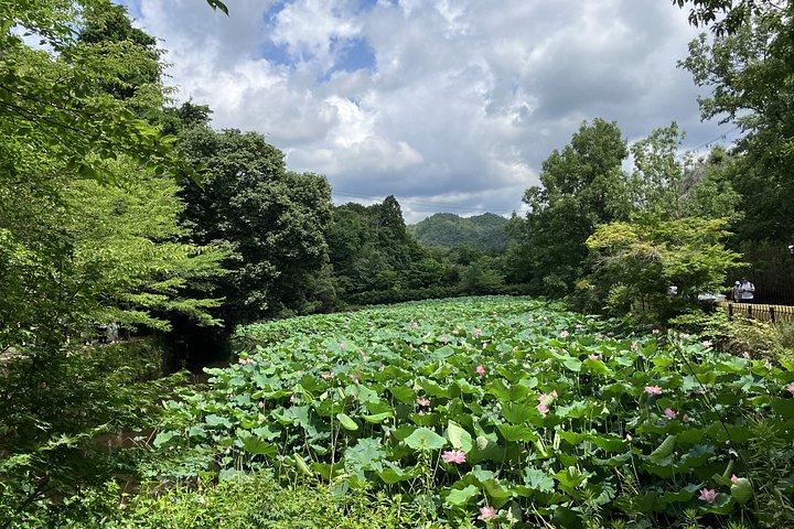 人ごみの向こうの嵐山 竹林と隠れた小道