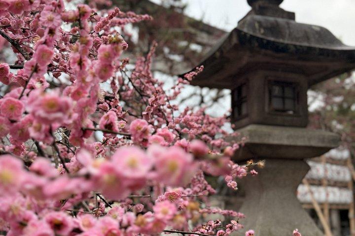 人ごみの向こうの嵐山 竹林と隠れた小道