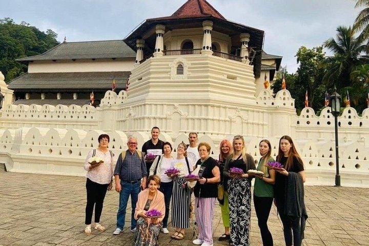 Privat dagstur til Kandy og Pinnawala fra Colombo/Negombo