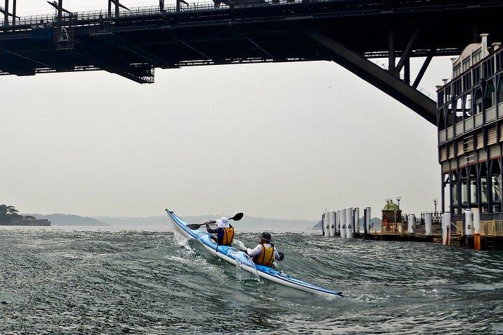 地元のシドニー港のヤギ島からカヤックまで