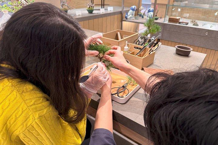 Authentic Bonsai Art Workshop in Tokyo