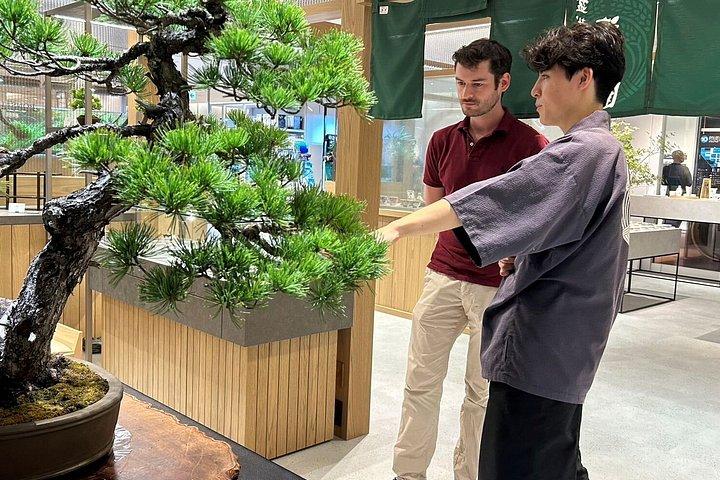 Authentic Bonsai Art Workshop in Tokyo
