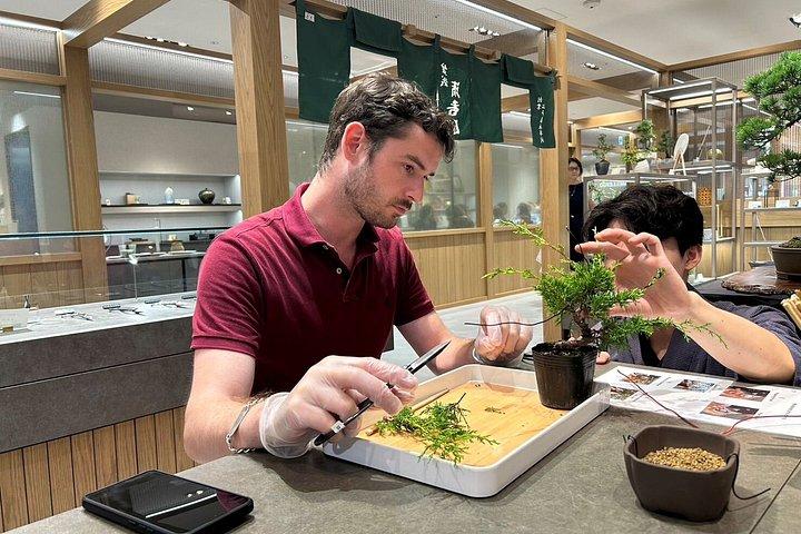 Authentic Bonsai Art Workshop in Tokyo