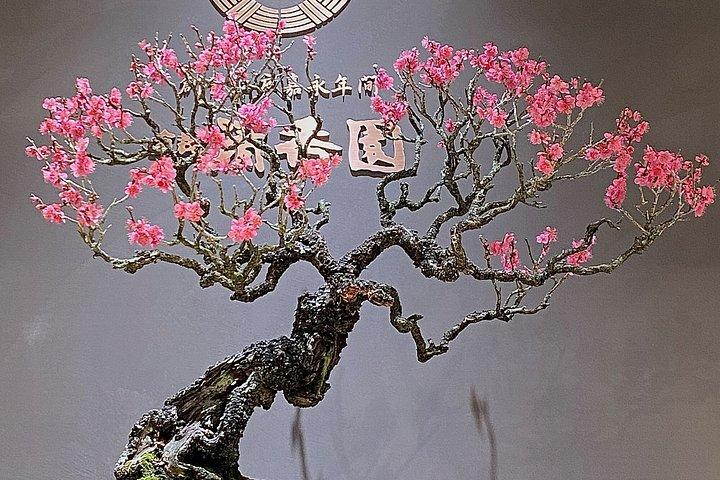 Authentic Bonsai Art Workshop in Tokyo