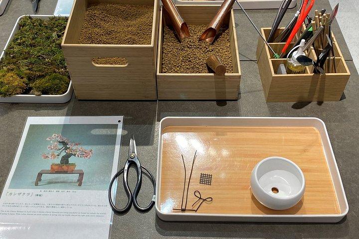 Authentic Bonsai Art Workshop in Tokyo