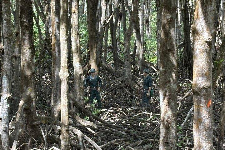 隠されたジャングル戦争体験―サイゴンの語られない側面