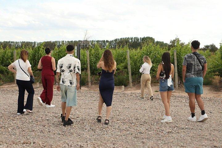 Visite Susana Balbo e almoce no restaurante Catena Zapata.