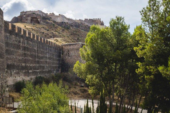 Tour Privado VIP Valencia