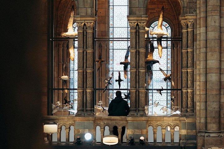 ロンドン自然史博物館プライベートツアー
