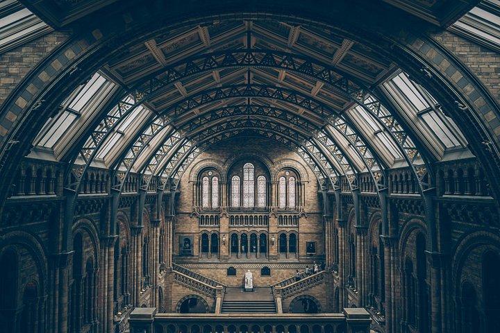 ロンドン自然史博物館プライベートツアー