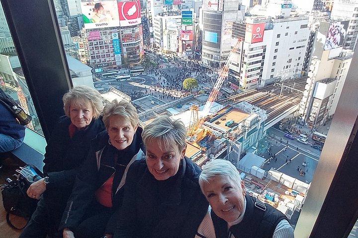 横浜＆東京港またはホテルからのベストオブ東京プライベートツアー