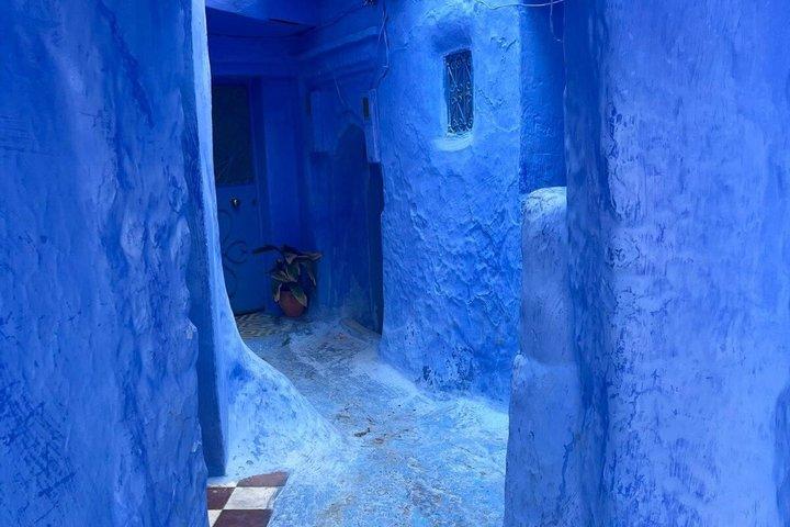 地元の専門家と一緒にフェズからシェフシャウエンへの日帰り旅行