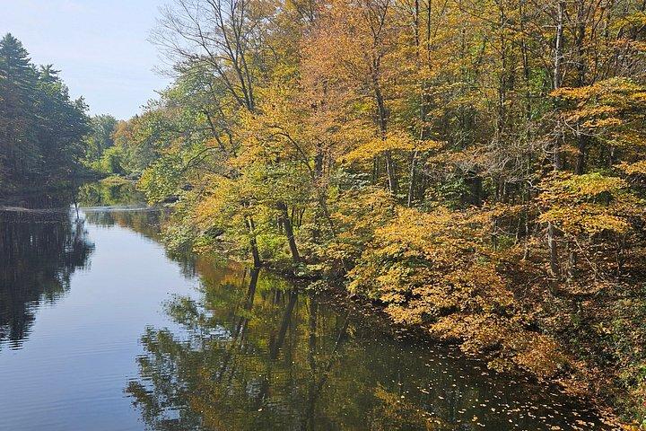 Höstlövverk Naturskön dagstur till Vermont och Western MA med stopp