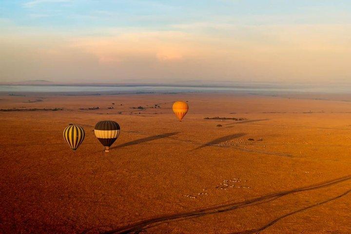 Aventura de 3 días en safari del grupo Maasai Mara desde Nairobi