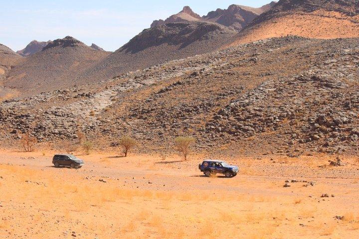 メルズーガ砂漠サファリ4x4＆ベルベル文化体験