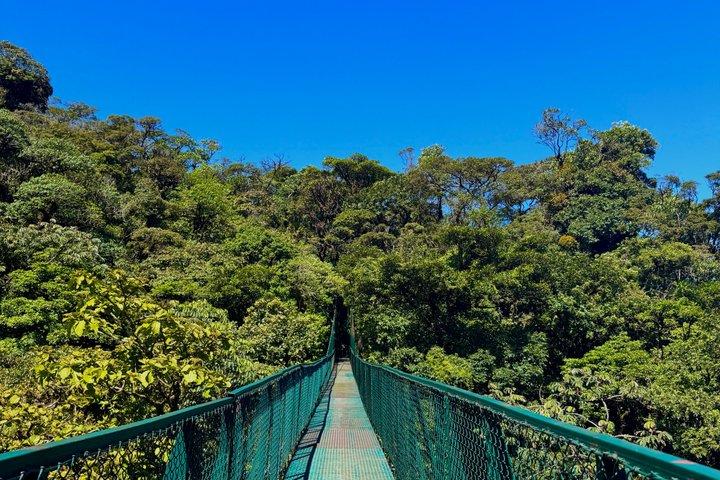 モンテベルデのセルバトゥーラ公園吊り橋ツアー
