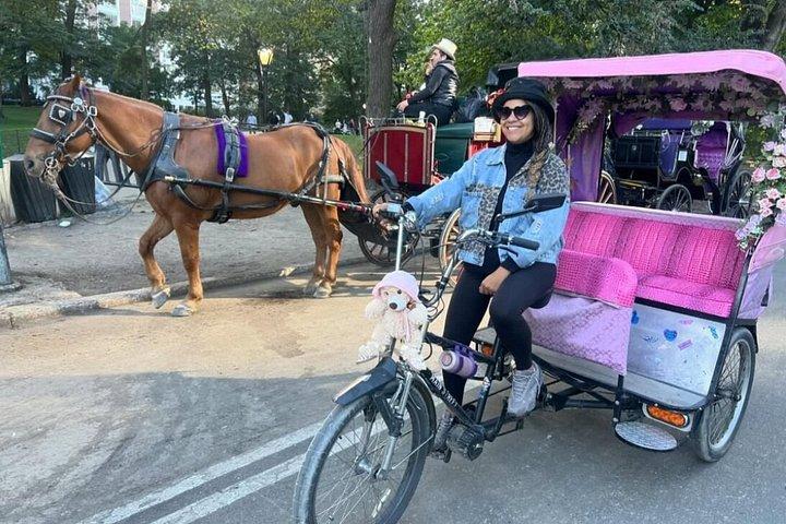 Private pedicab ture gennem Central Park i stil