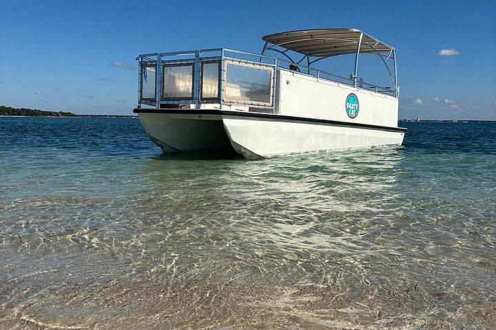 Shell Island Snorkeling e visita dei delfini