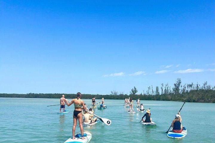 Mangroves & Midnight Pass Beach Kayak Tour