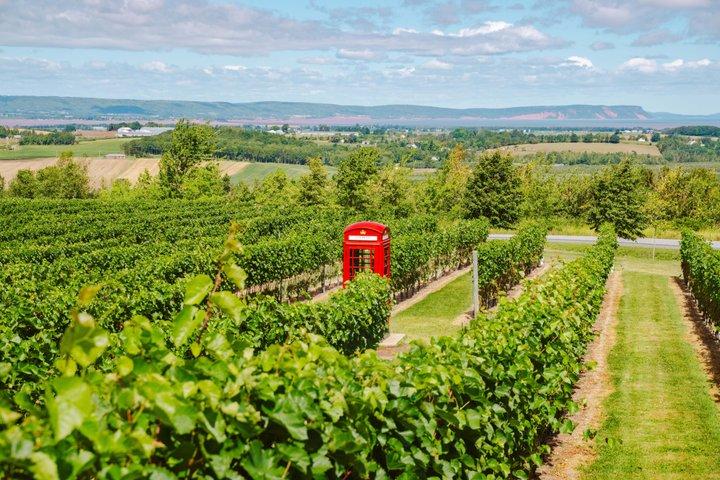 Annapolis Valley Experience Excursion d'une journée en petit groupe