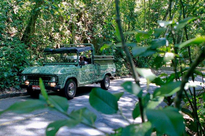 Tijuca Forest Jeep Tour