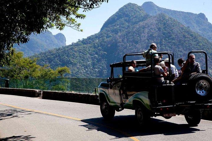Tijuca Forest Jeep Tour