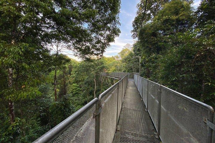 JungleWalla Sedim Regenwoud en Canopy Wandeling
