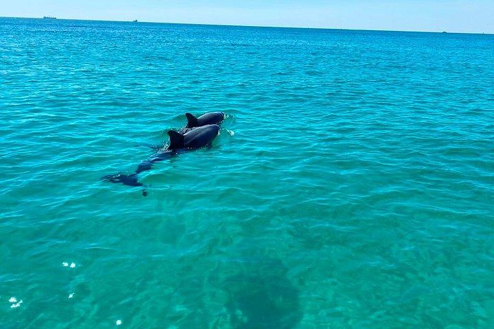 シェル島へのダブルデッカースライドボートレンタル