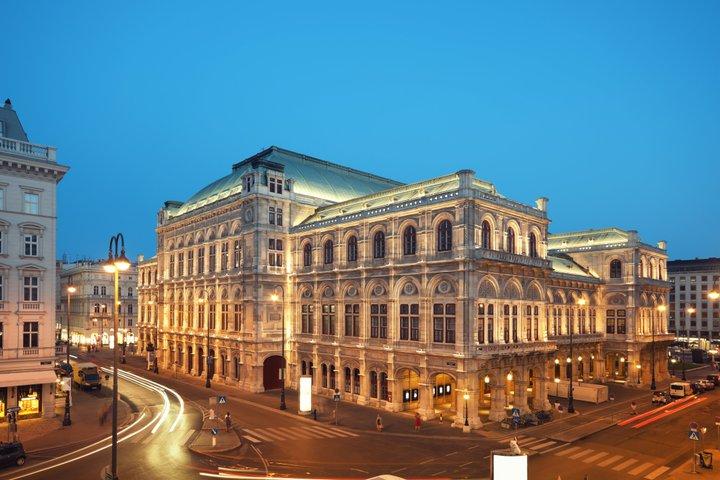 Ganztägige Vienna Private Tour von Prag