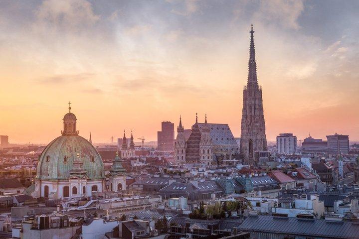 Ganztägige Vienna Private Tour von Prag