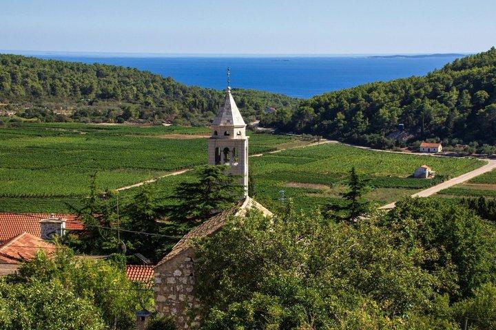 Korcula Vintur Provning av lokala sorter med traditionella bitar