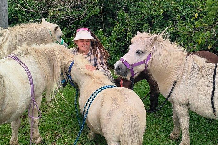 Pony-wandelavontuur