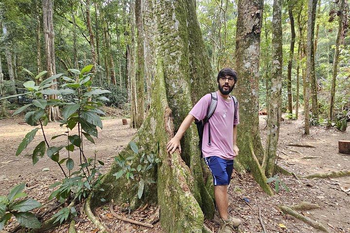 Small-Group Tijuca Forest Guided Tour