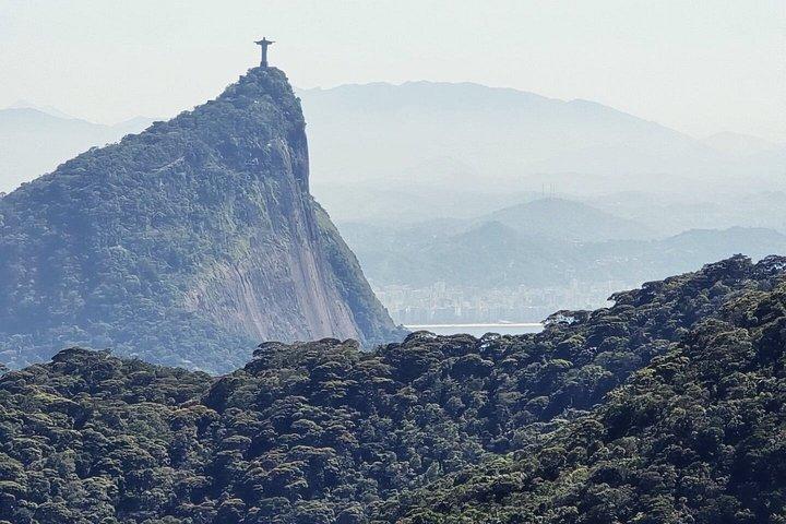Small-Group Tijuca Forest Guided Tour