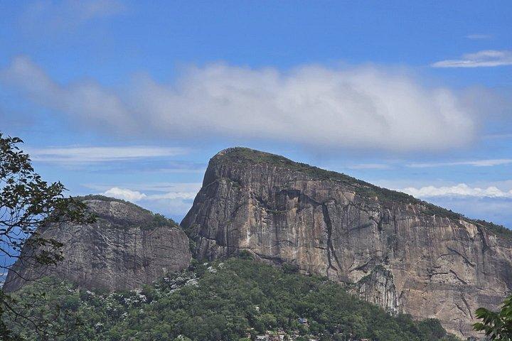 Small-Group Tijuca Forest Guided Tour