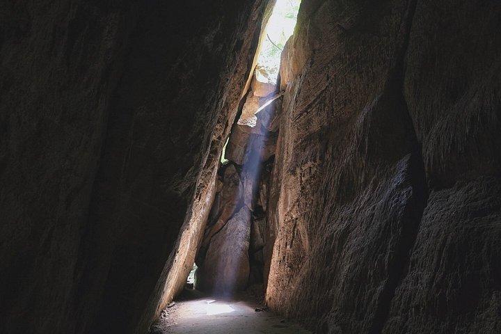 Small-Group Tijuca Forest Guided Tour