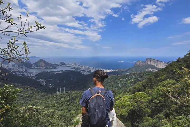 Small-Group Tijuca Forest Guided Tour