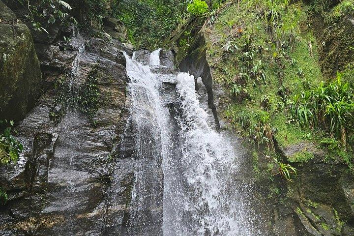 Small-Group Tijuca Forest Guided Tour