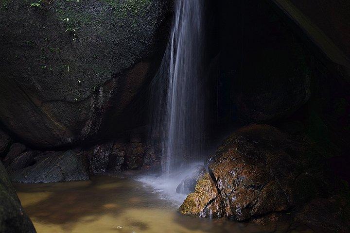 Small-Group Tijuca Forest Guided Tour