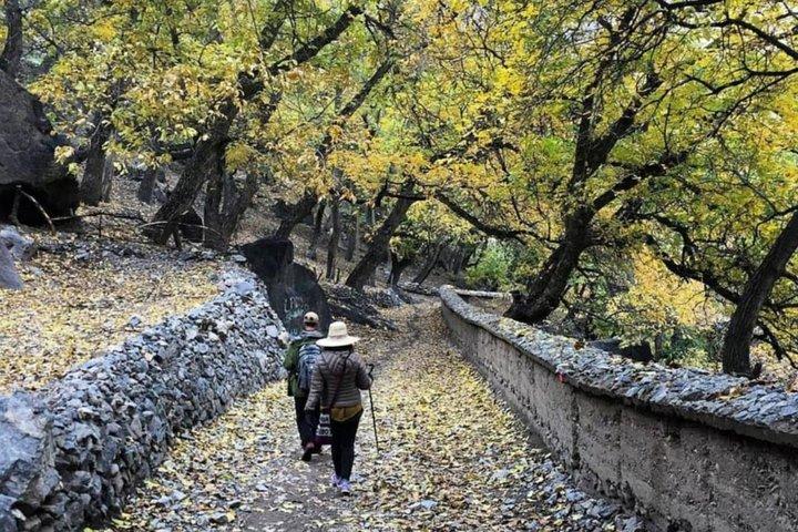 トブカル山を一望できるアトラス山脈日帰りツアー