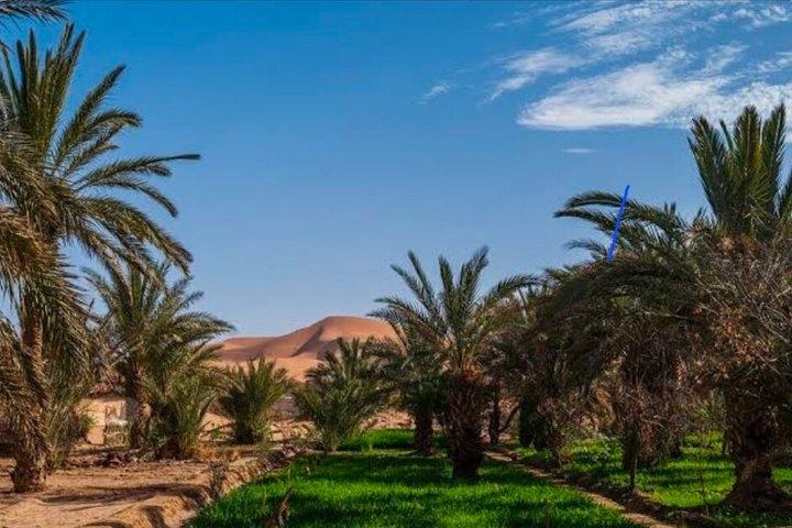 4 horas 4x4 Excursão Merzouga Desert