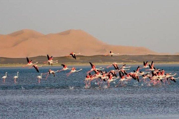 4 timmar 4x4 Merzouga ökenutflykt