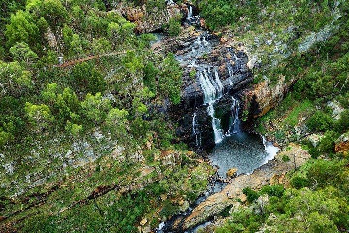 Excursión de un día al Parque Nacional Grampians desde Melbourne Wildlife