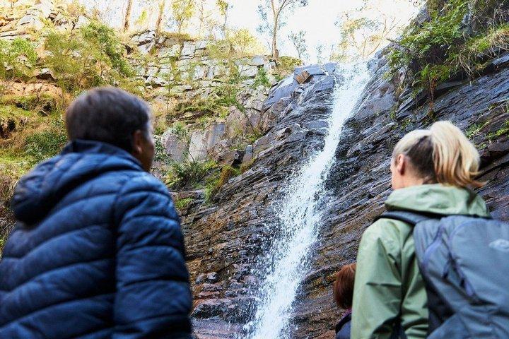 Excursión de un día al Parque Nacional Grampians desde Melbourne Wildlife