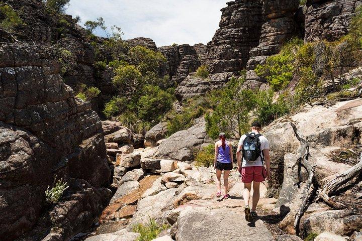 Excursión de un día al Parque Nacional Grampians desde Melbourne Wildlife