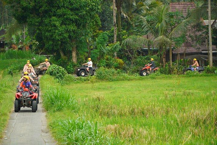 ATVクワッドバイクバリ滝象の洞窟とランチ付き