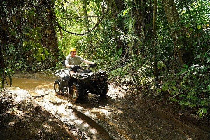 ATVクワッドバイクバリ滝象の洞窟とランチ付き