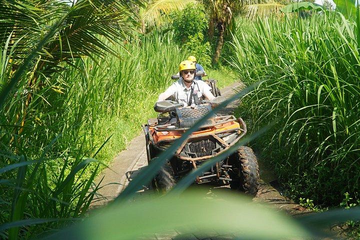 ATVクワッドバイクバリ滝象の洞窟とランチ付き