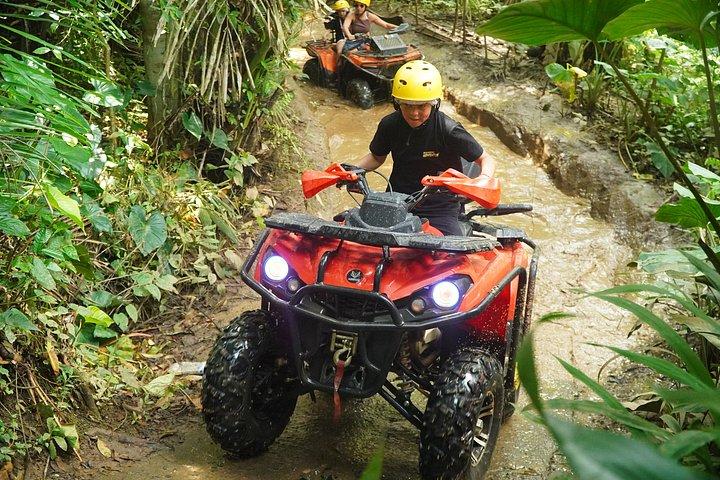 ATVクワッドバイクバリ滝象の洞窟とランチ付き